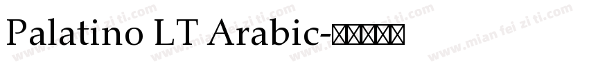 Palatino LT Arabic字体转换